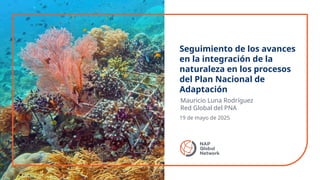 19 de mayo de 2025
Seguimiento de los avances
en la integración de la
naturaleza en los procesos
del Plan Nacional de
Adap...