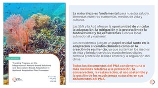 La naturaleza es fundamental para nuestra salud y
bienestar, nuestras economías, medios de vida y
culturas.
Las SbN y la A...