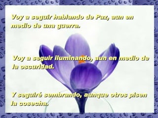 Voy a seguir hablando de Paz, aun en medio de una guerra.  Voy a seguir iluminando, aun en medio de la oscuridad.  Y seguiré sembrando, aunque otros pisen la cosecha.   