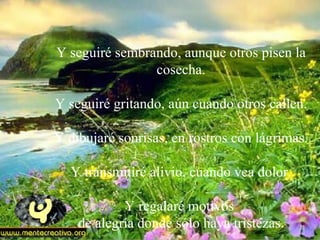 Y seguiré sembrando, aunque otros pisen la
                cosecha.

Y seguiré gritando, aún cuando otros callen.

Y dibujaré sonrisas, en rostros con lágrimas.

  Y transmitiré alivio, cuando vea dolor.

            Y regalaré motivos
    de alegría donde sólo haya tristezas.
 