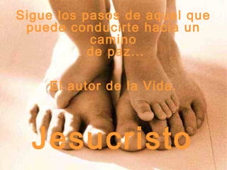 Sigue los pasos de aquel que
puede conducirte hacia un
camino
de paz...
El autor de la Vida.
Jesucristo
 