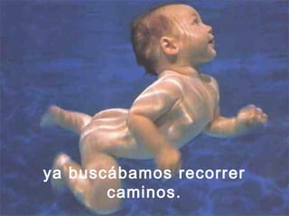 ya buscábamos recorrer
caminos.
 