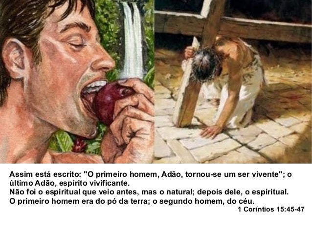 Resultado de imagem para jesus segundo adao