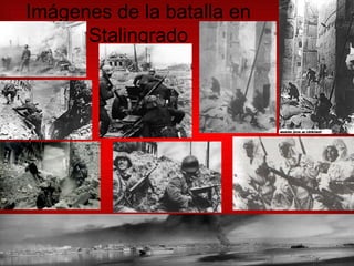 Imágenes de la batalla en Stalingrado 