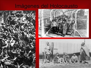 Imágenes del Holocausto 