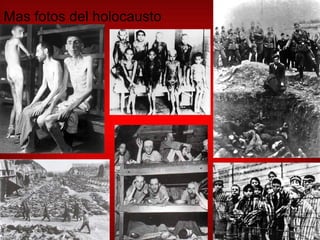 Mas fotos del holocausto 