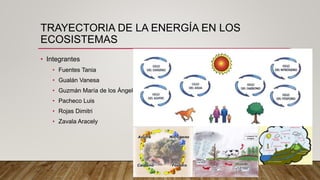 TRAYECTORIA DE LA ENERGÍA EN LOS
ECOSISTEMAS
• Integrantes
• Fuentes Tania
• Gualán Vanesa
• Guzmán María de los Ángeles
• Pacheco Luis
• Rojas Dimitri
• Zavala Aracely
 