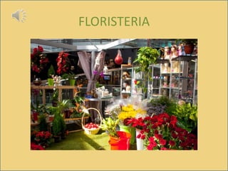FLORISTERIA
 