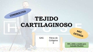 TEJIDO
CARTILAGINOSO
95%, sólida y estable pero
maleable (flexible)
GAG Fibras de
Colágeno
II
 