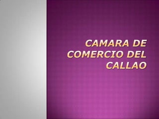 CAMARA DE COMERCIO DEL CALLAO 