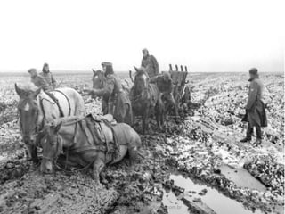 Prof. Douglas Barraqui
www.dougnahistoria.blogspot.com.br
 