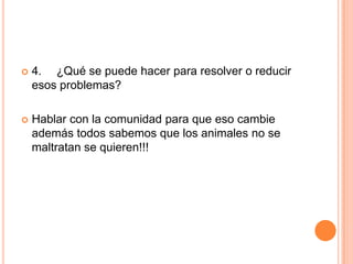 

4. ¿Qué se puede hacer para resolver o reducir
esos problemas?



Hablar con la comunidad para que eso cambie
además todos sabemos que los animales no se
maltratan se quieren!!!

 