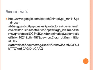 BIBLIOGRAFÍA


http://www.google.com/search?hl=es&gs_rn=11&gs
_ri=psyab&suggest=p&pq=cuales+protectoras+de+animal
es+existen+en+costa+rica&cp=16&gs_id=1a4h&xh
r=t&q=protecci%C3%B3n+de+animales&safe=activ
e&biw=1024&bih=497&bav=on.2,or.r_qf.&um=1&ie
=UTF8&tbm=isch&source=og&sa=N&tab=wi&ei=MGF5U
bTTOYm80AGX4oCAAQ

 