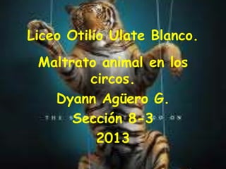 Liceo Otilio Ulate Blanco.
Maltrato animal en los
circos.
Dyann Agüero G.
Sección 8-3
2013
 