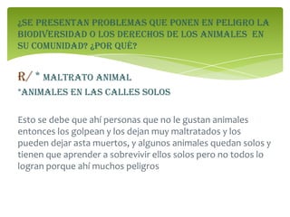 ¿Se presentan problemas que ponen en peligro la
biodiversidad o los derechos de los animales en
su comunidad? ¿Por qué?
R/ * maltrato animal
*animales en las calles solos
Esto se debe que ahí personas que no le gustan animales
entonces los golpean y los dejan muy maltratados y los
pueden dejar asta muertos, y algunos animales quedan solos y
tienen que aprender a sobrevivir ellos solos pero no todos lo
logran porque ahí muchos peligros
 