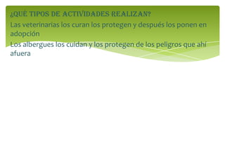 ¿Qué tipos de actividades realizan?
Las veterinarias los curan los protegen y después los ponen en
adopción
Los albergues los cuidan y los protegen de los peligros que ahí
afuera
 