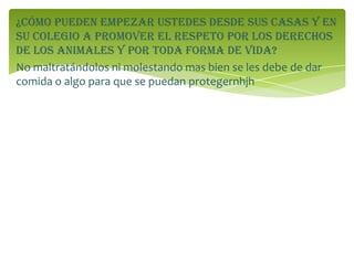 ¿Cómo pueden empezar ustedes desde sus casas y en
su colegio a promover el respeto por los derechos
de los animales y por toda forma de vida?
No maltratándolos ni molestando mas bien se les debe de dar
comida o algo para que se puedan protegernhjh
 