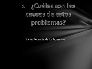 La indiferencia de los humanos
 