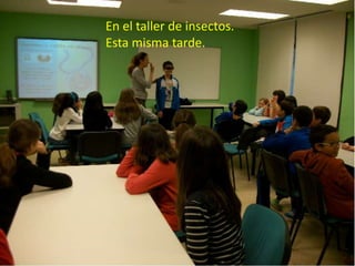 En el taller de insectos.
Esta misma tarde.

 