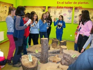 En el taller de plantas.
Esta misma tarde.

 