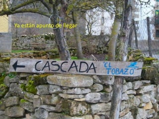 Ya están apunto de llegar

 