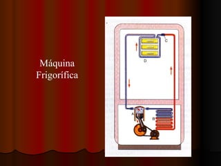 Máquina Frigorífica 