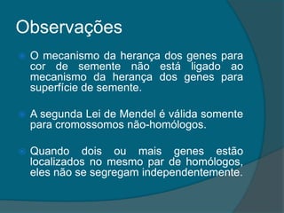 ObservaçõesO mecanismo da herança dos genes para cor de semente não está ligado ao mecanismo da herança dos genes para superfície de semente.A segunda Lei de Mendel é válida somente para cromossomos não-homólogos.Quando dois ou mais genes estão localizados no mesmo par de homólogos, eles não se segregam independentemente.
