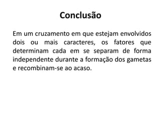 Conclusão
Em um cruzamento em que estejam envolvidos
dois ou mais caracteres, os fatores que
determinam cada em se separam de forma
independente durante a formação dos gametas
e recombinam-se ao acaso.
 