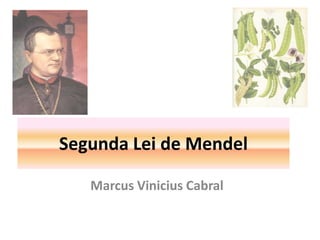 Marcus Vinicius Cabral
Segunda Lei de Mendel
 