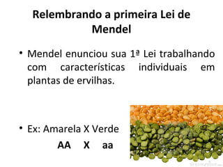 Relembrando a primeira Lei de 
Mendel 
• Mendel enunciou sua 1ª Lei trabalhando 
com características individuais em 
plantas de ervilhas. 
• Ex: Amarela X Verde 
AA X aa 
 