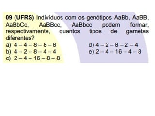 Segundaleidemendel raquel