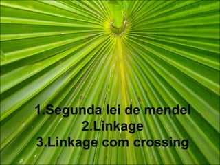 1.Segunda lei de mendel
2.Linkage
3.Linkage com crossing
 