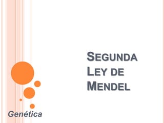 SEGUNDA
LEY DE
MENDEL
Genética
 