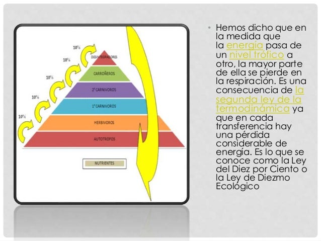 Segunda ley de termodinámica