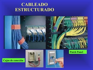 CABLEADO ESTRUCTURADO Patch Panel Cajas de conexión 