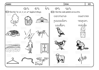 NOMBRE:                                                              FECHA:                    R09.


                       ar              er           ir   or           ur
    Escribe "ar, er, ir, or, ur" según.el dibujo.        Escribe cada palabra en su sitio.
 ar
                                                         carnero                       cuervo
                                                         pasador                       vapor
                                                         castor                        mirlo
 