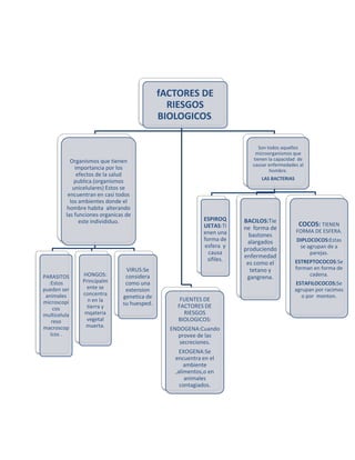 Segunda parte del taller[1]