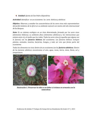 Entidad: Quinta de San Pedro Alejandrino

Actividad: Identificar en un ecosistema los seres bióticos y abióticos

Objetivo: Observar y estudiar las características de los seres vivos más representativos
del jardín botánico de la Q.S.A en su ambiente natural con motivo del año internacional
de los Bosques.

Nota: Es un sistema ecológico en un área determinada, formado por los seres vivos
(elementos bióticos), su ambiente físico (elementos abióticos) y las interacciones que
existen entre sí y el medio que los rodea. Todos los seres vivos (y aquellos que alguna vez
lo fueron) son los factores bióticos del ecosistema. Los factores bióticos incluyen
plantas, animales, insectos, bacterias, hongos, y todo ser vivo que forme parte del
ecosistema.
Todos los elementos no vivos dentro de un ecosistema son los factores abióticos. Dentro
de los factores abióticos encontramos el aire, agua, rocas, tierra, nieve, lluvia, sol y
temperatura.




     Ilustración 1. Preservar la vida es un deber si vivimos en armonía con la
                                     naturaleza




     Evidencias De Salidas Y Trabajos De Campo De Los Estudiantes De Grado 11º / 2011
 