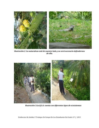 Ilustración 2. La naturaleza está de nuestro lado y no será necesario defendernos
                                      de ella.




            Ilustración 3.La Q.S.A. cuenta con diferentes tipos de ecosistemas




    Evidencias De Salidas Y Trabajos De Campo De Los Estudiantes De Grado 11º / 2011
 