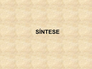 SÍNTESE
 