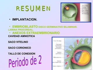 • IMPLANTACION.

• EMBRIOBLASTO DISCO GERMINATIVO BILAMINAR.
LAMINA PROCORDAL.
• ANEXOS EXTRAEMBRIONARIO
CAVIDAD AMNIOTICA

SACO VITELINO

SACO CORIONICO

TALLO DE CONEXION
 