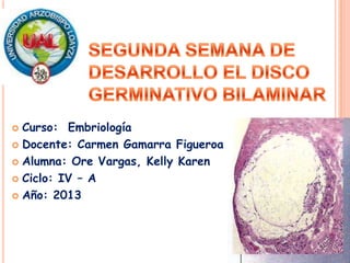  Curso: Embriología
 Docente: Carmen Gamarra Figueroa
 Alumna: Ore Vargas, Kelly Karen
 Ciclo: IV – A
 Año: 2013
 