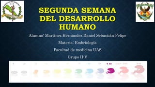 SEGUNDA SEMANA
DEL DESARROLLO
HUMANO
Alumno: Martínez Hernández Daniel Sebastián Felipe
Materia: Embriología
Facultad de medicina UAS
Grupo II-V
 