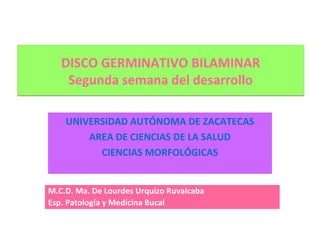 DISCO GERMINATIVO BILAMINAR
    Segunda semana del desarrollo

    UNIVERSIDAD AUTÓNOMA DE ZACATECAS
        AREA DE CIENCIAS DE LA SALUD
          CIENCIAS MORFOLÓGICAS


M.C.D. Ma. De Lourdes Urquizo Ruvalcaba
Esp. Patología y Medicina Bucal
 