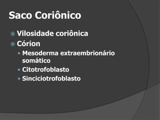 Saco CoriônicoVilosidade coriônicaCórionMesoderma extraembrionário somáticoCitotrofoblastoSinciciotrofoblasto