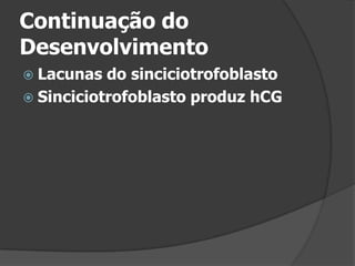 Continuação do DesenvolvimentoLacunas do sinciciotrofoblastoSinciciotrofoblasto produz hCG