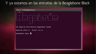 Y ya estamos en las entrañas de la Beaglebone Black

 