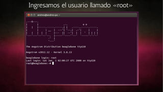 Ingresamos el usuario llamado «root»

 