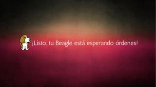 ¡Listo, tu Beagle está esperando órdenes!

 