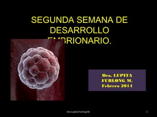 Dra. LUPITA
FURLONG M.
Febrero 2014
SEGUNDA SEMANA DE
DESARROLLO
EMBRIONARIO.
Dra Lupita Furlong M. 1
 